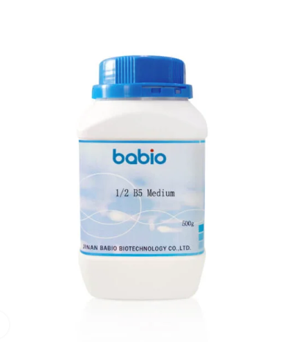 1/2 B5 متوسط