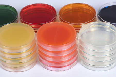 با کیفیت بالا Sapouraud Dextrose Agar (SDA) توسط Babio