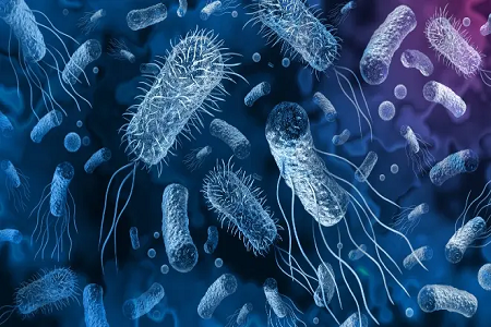 Babio کیت تشخیص سریع آنتی ژن Vibrio Kolerae را راه اندازی می کند