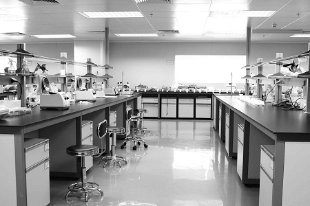 Babio Salmonella Shigella Agar: محیط قابل اعتماد برای ایمنی مواد غذایی و تشخیص بالینی