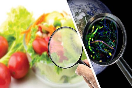 BABIO کاست آزمایش سریع آفلاتوکسین B1 را برای کنترل ایمنی جهانی غذا راه اندازی کرد.