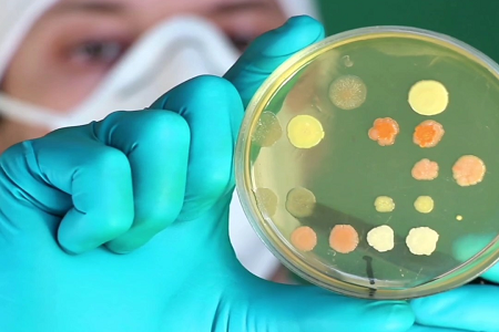 پشتیبانی از میکروبیولوژی پیشرفته: BABIO مایع تزریقی قلب مغز آماده برای استفاده را عرضه می کند