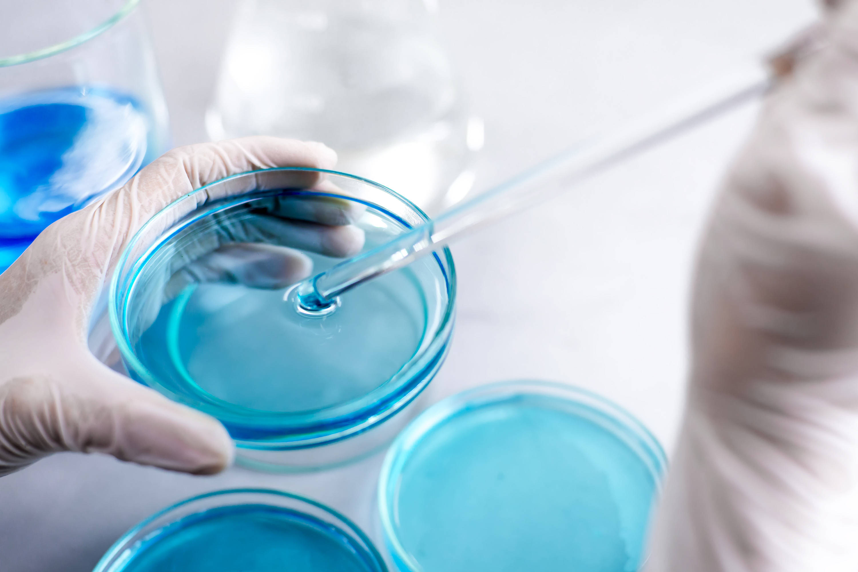 BABIO محیط SDA قابل اعتماد را برای تشخیص قارچ معرفی می کند