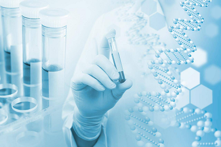 کیت تست H. pylori IgG/IgM: محلول غربالگری آنتی بادی سریع